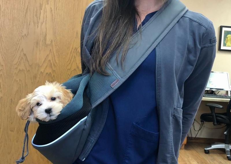 to Riverside Animal Hospital!